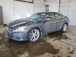 Salvage cars for sale at Lexington, KY auction: 2009 Nissan Maxima S