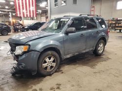 Ford salvage cars for sale: 2010 Ford Escape XLT