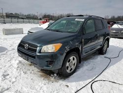 Salvage cars for sale at Louisville, KY auction: 2010 Toyota Rav4