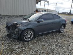 Scion salvage cars for sale: 2006 Scion TC