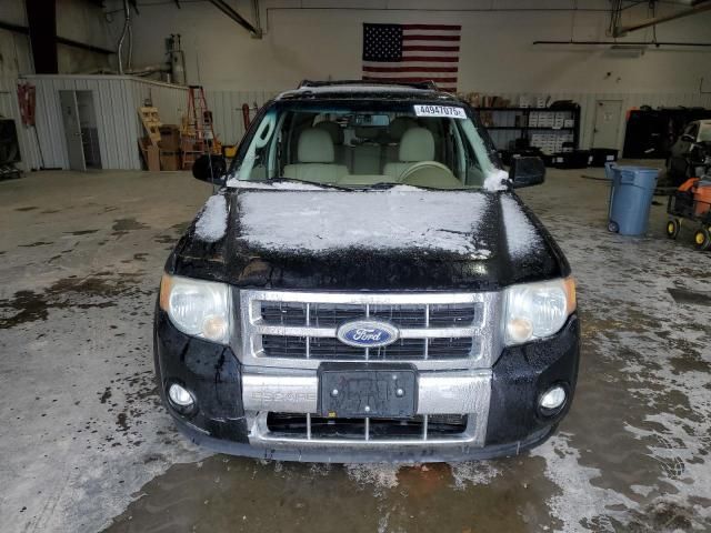 2010 Ford Escape Limited