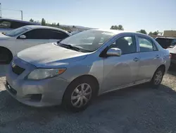 Salvage cars for sale at Mentone, CA auction: 2010 Toyota Corolla Base