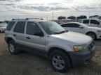 2005 Ford Escape XLT