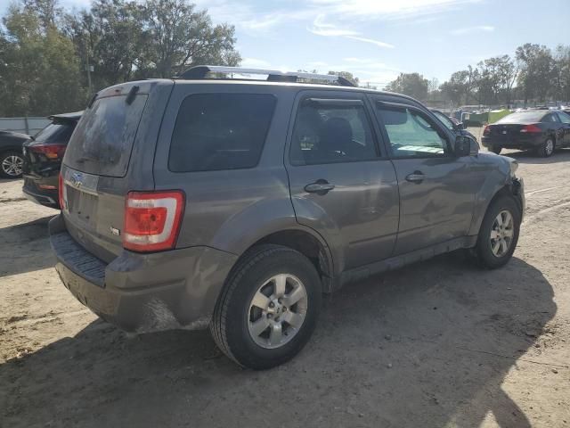 2011 Ford Escape Limited