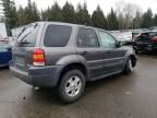 2002 Ford Escape XLT