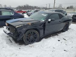 Salvage cars for sale at Hillsborough, NJ auction: 2016 Dodge Challenger R/T