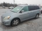 2006 Honda Odyssey EX