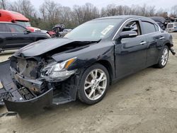 Vehiculos salvage en venta de Copart Waldorf, MD: 2012 Nissan Maxima S