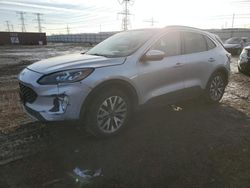 Salvage cars for sale at Elgin, IL auction: 2020 Ford Escape Titanium