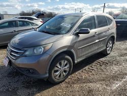 Salvage cars for sale at Hillsborough, NJ auction: 2014 Honda CR-V EXL