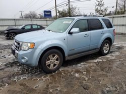 Ford Vehiculos salvage en venta: 2008 Ford Escape HEV