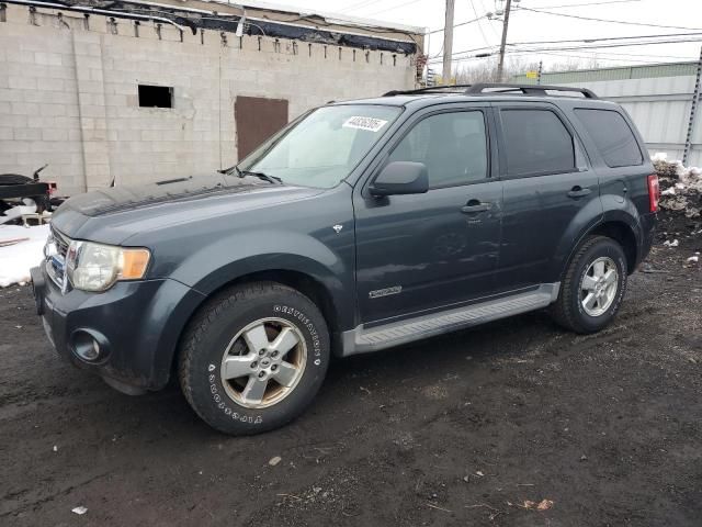 2008 Ford Escape XLT