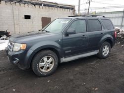 Ford salvage cars for sale: 2008 Ford Escape XLT