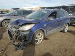 Salvage cars for sale at Brighton, CO auction: 2014 Ford Escape Titanium