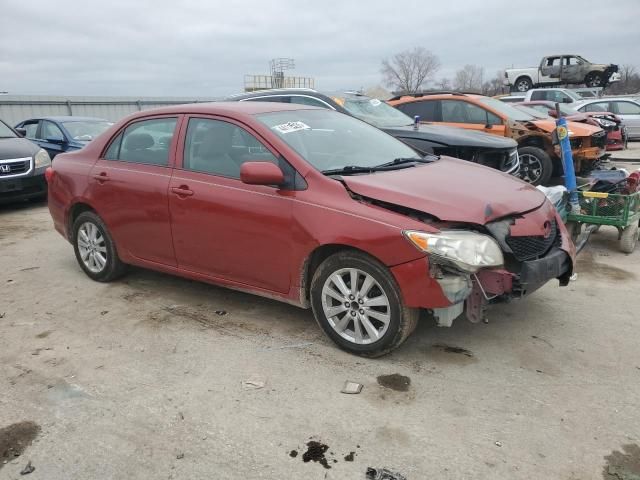 2010 Toyota Corolla Base