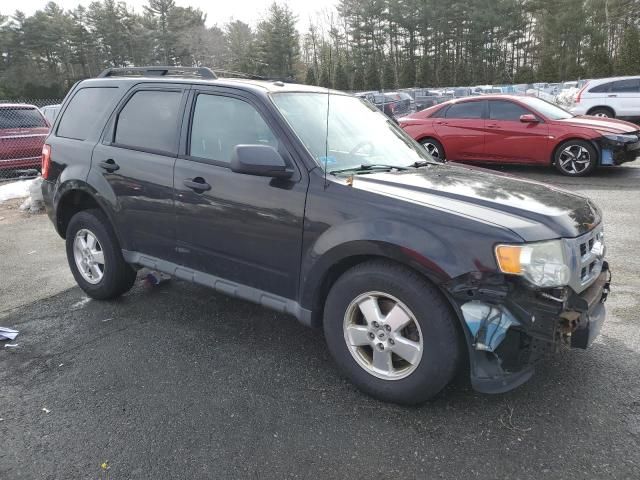 2011 Ford Escape XLT