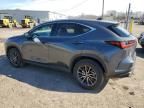 2024 Lexus NX 350 Base