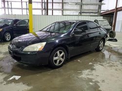 Salvage cars for sale at Lawrenceburg, KY auction: 2003 Honda Accord EX