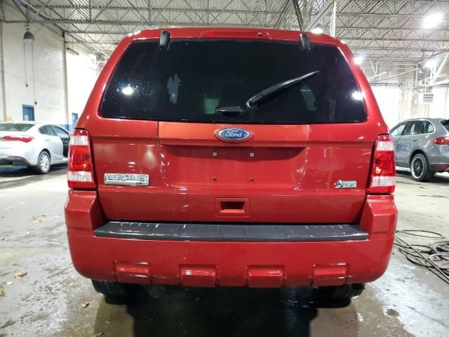 2011 Ford Escape XLT