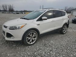 Salvage cars for sale at Barberton, OH auction: 2013 Ford Escape Titanium