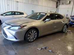 Salvage cars for sale at Franklin, WI auction: 2019 Lexus ES 350