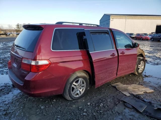 2005 Honda Odyssey EXL