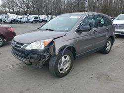 Salvage cars for sale at Glassboro, NJ auction: 2011 Honda CR-V LX