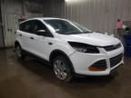 2013 Ford Escape S