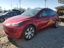 Salvage cars for sale at Columbus, OH auction: 2024 Tesla Model Y