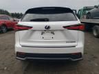 2020 Lexus NX 300H