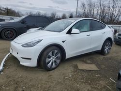 Salvage cars for sale at Windsor, NJ auction: 2023 Tesla Model Y