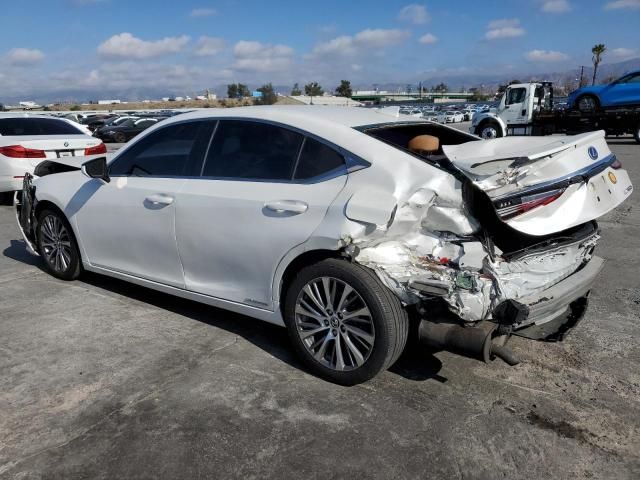 2019 Lexus ES 300H