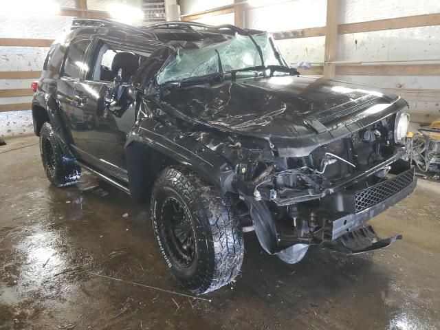 2007 Toyota FJ Cruiser