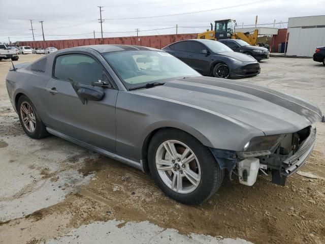 2010 Ford Mustang