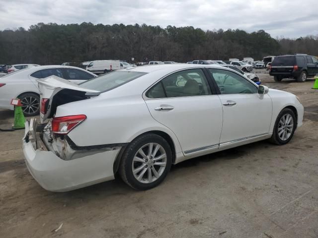 2010 Lexus ES 350