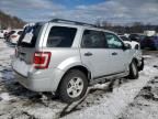 2010 Ford Escape Hybrid