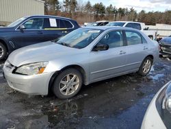 Salvage cars for sale at auction: 2004 Honda Accord EX