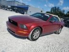 2006 Ford Mustang