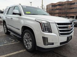 Copart GO Cars for sale at auction: 2018 Cadillac Escalade Luxury