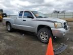 2007 Dodge Dakota SLT