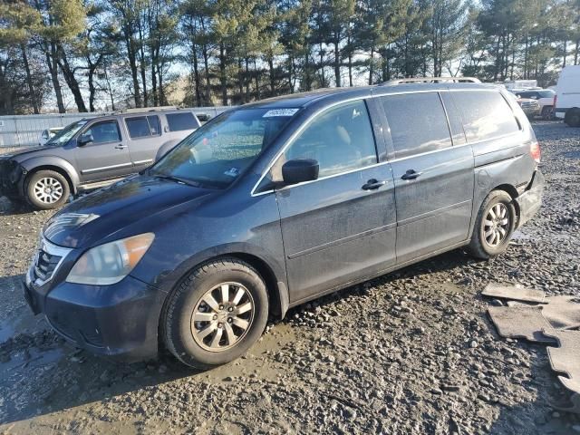 2009 Honda Odyssey EXL