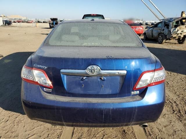 2010 Toyota Camry Hybrid