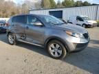 2013 KIA Sportage Base