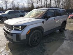 Salvage cars for sale at auction: 2024 Hyundai Santa FE XRT