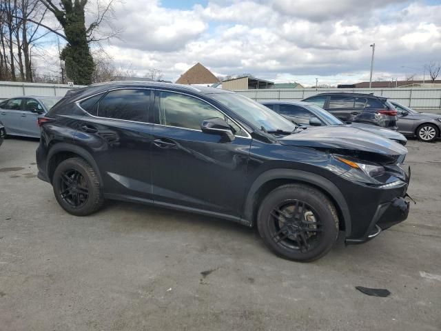 2021 Lexus NX 300 Base