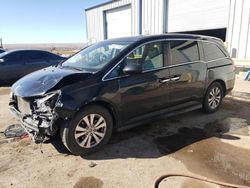 Salvage cars for sale at Albuquerque, NM auction: 2014 Honda Odyssey EXL