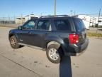 2008 Mazda Tribute I