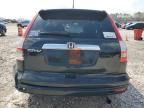 2010 Honda CR-V EXL