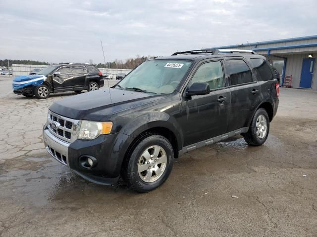 2011 Ford Escape Limited