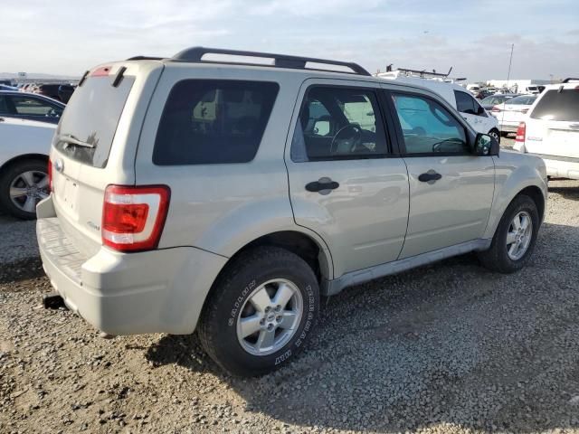 2009 Ford Escape XLT